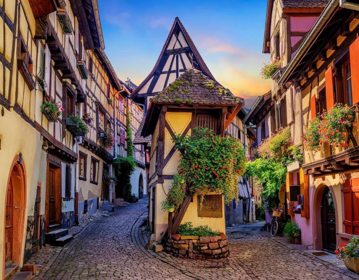 B&B Chez L'Habitant Chambre Privative Sur La Route Des Vins Tv Parking Box Velo Issenheim المظهر الخارجي الصورة